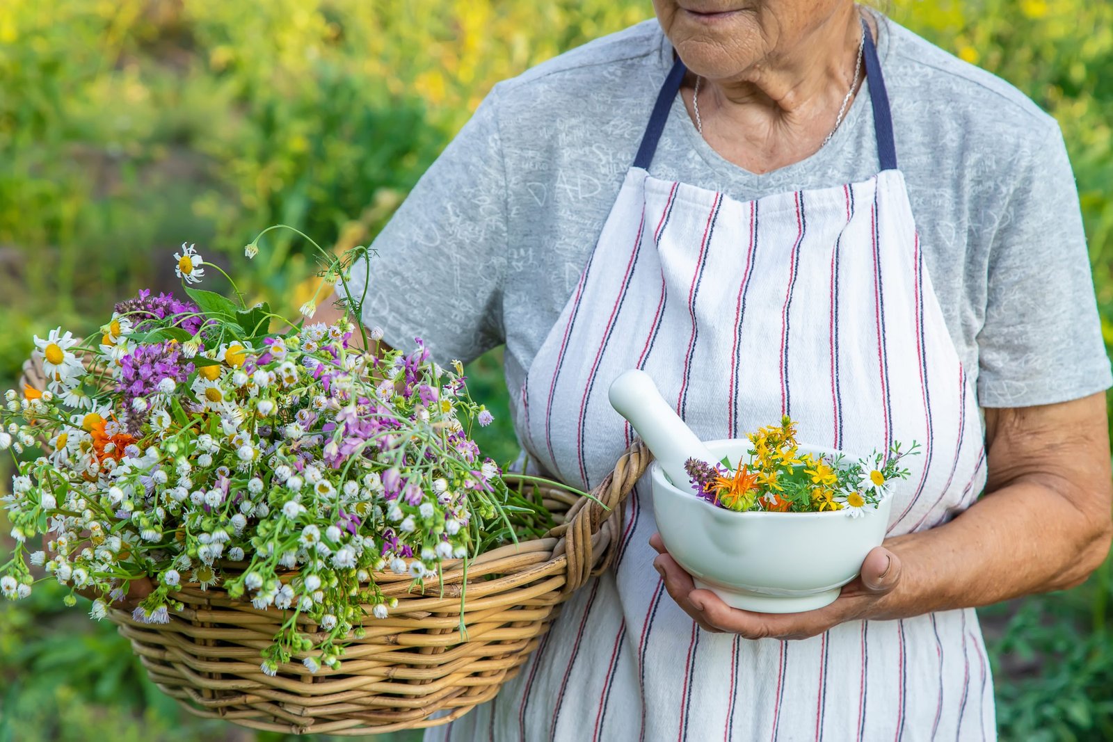 Wild harvest